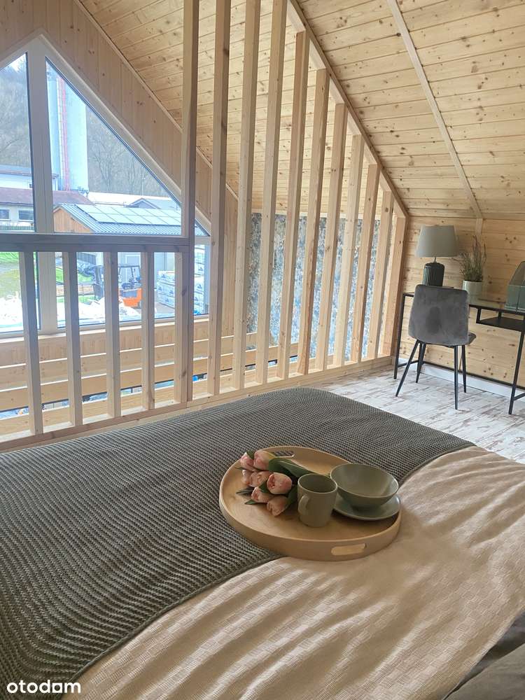 Nowoczesny i ekonomiczny dom szkieletowy - Ekodom50-9