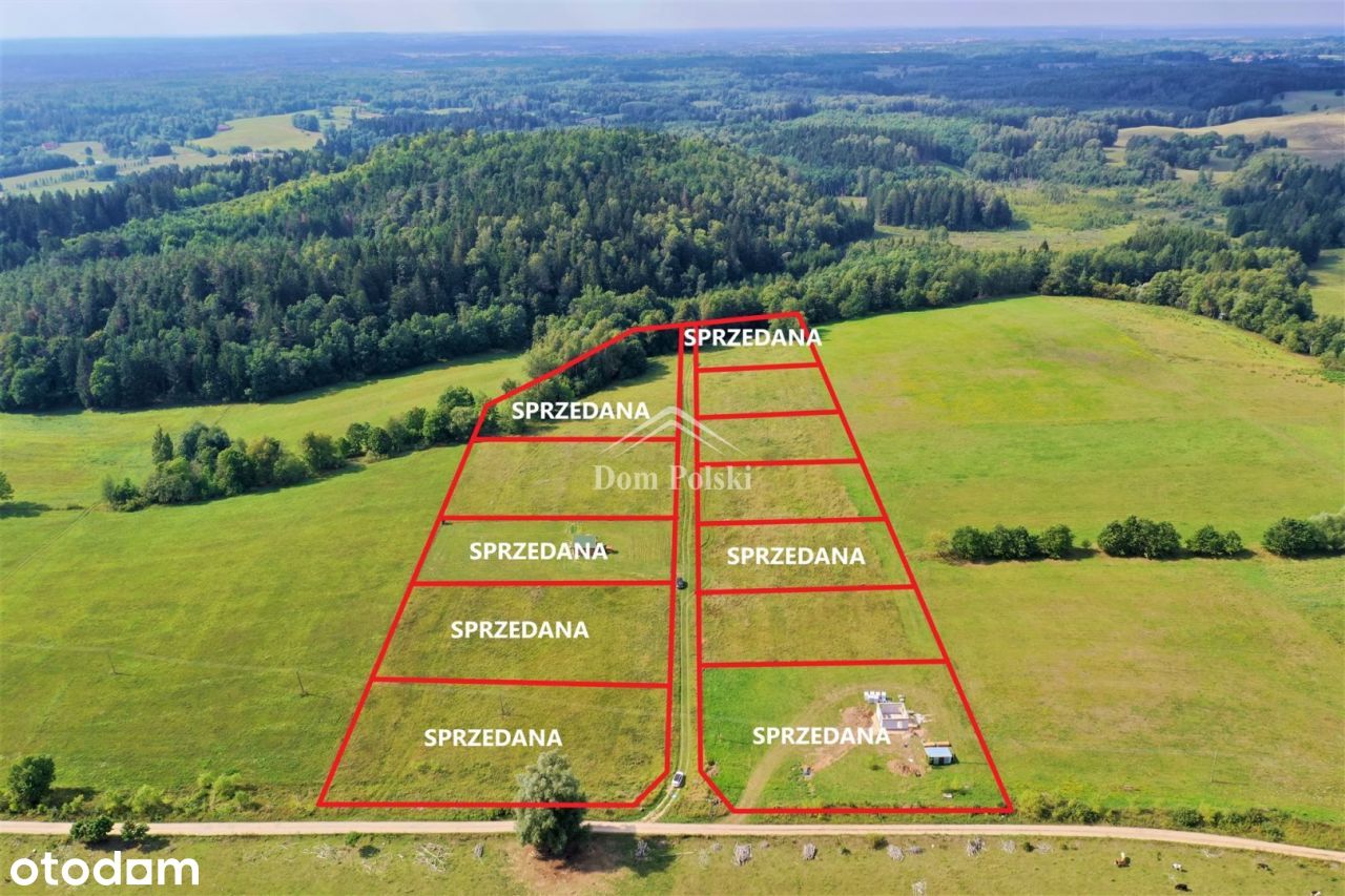 Działki 3000 m2 pod Szeską Górą - Szeszki, Mazury