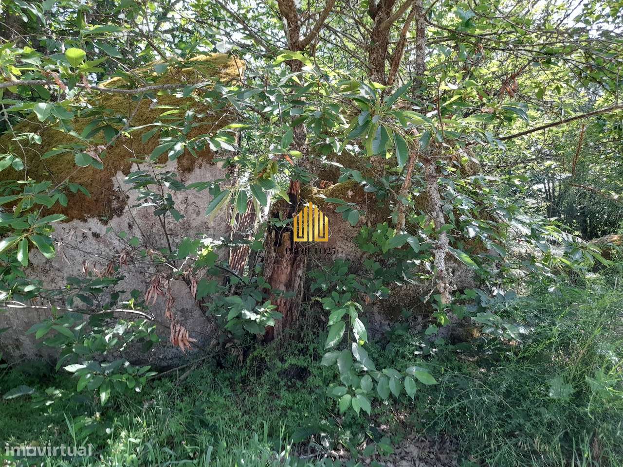 Terreno único com 21.500 m² Zona Vinhateira - Projeto Turístico-33