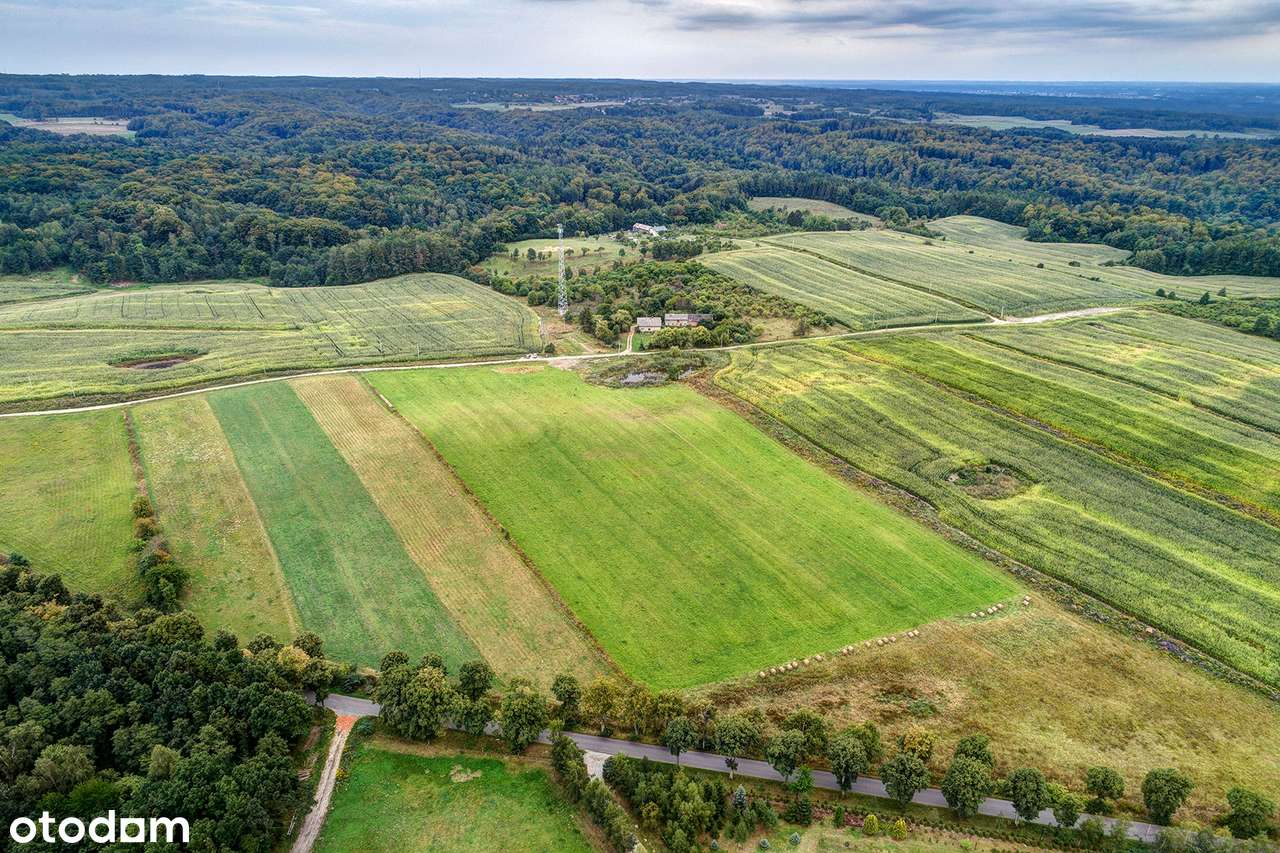 ŁĘCZE - DZIAŁKA  Z WIDOKIEM NA ZALEW WIŚLANY !!!-11