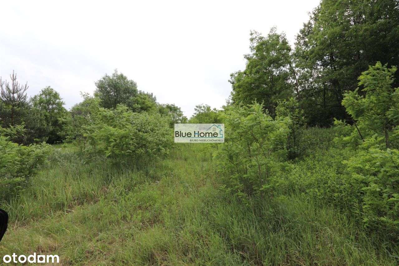 Urokliwa Działka Budowlana w Górsku na Sprzedaż! - Pełny obrazek: 4/4