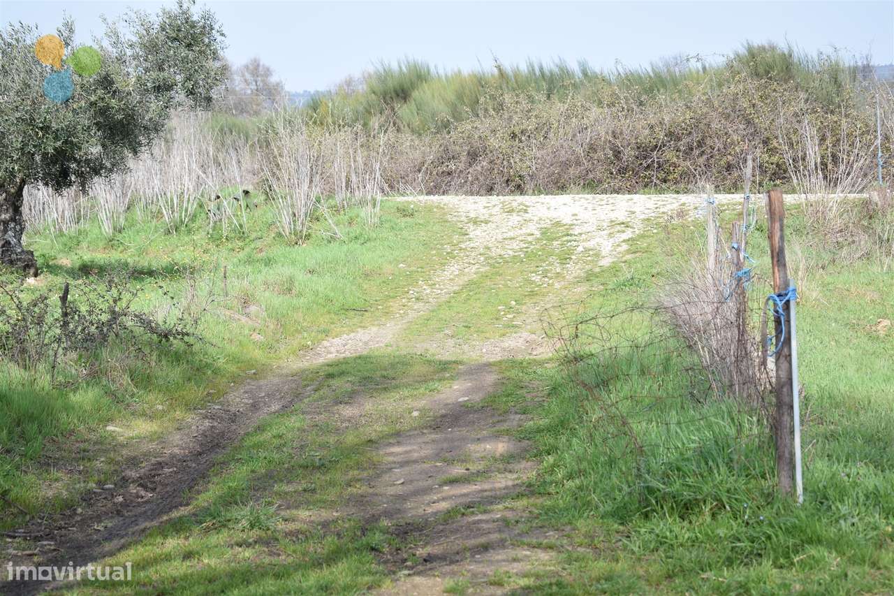 Terreno - Fundão - Grande imagem: 3/10