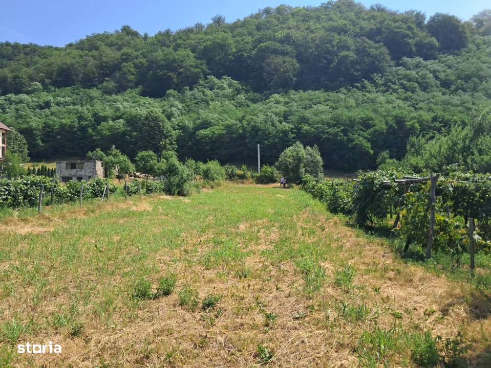 TEREN INTRAVILAN POLOVRAGI - Imagine principală: 4/9