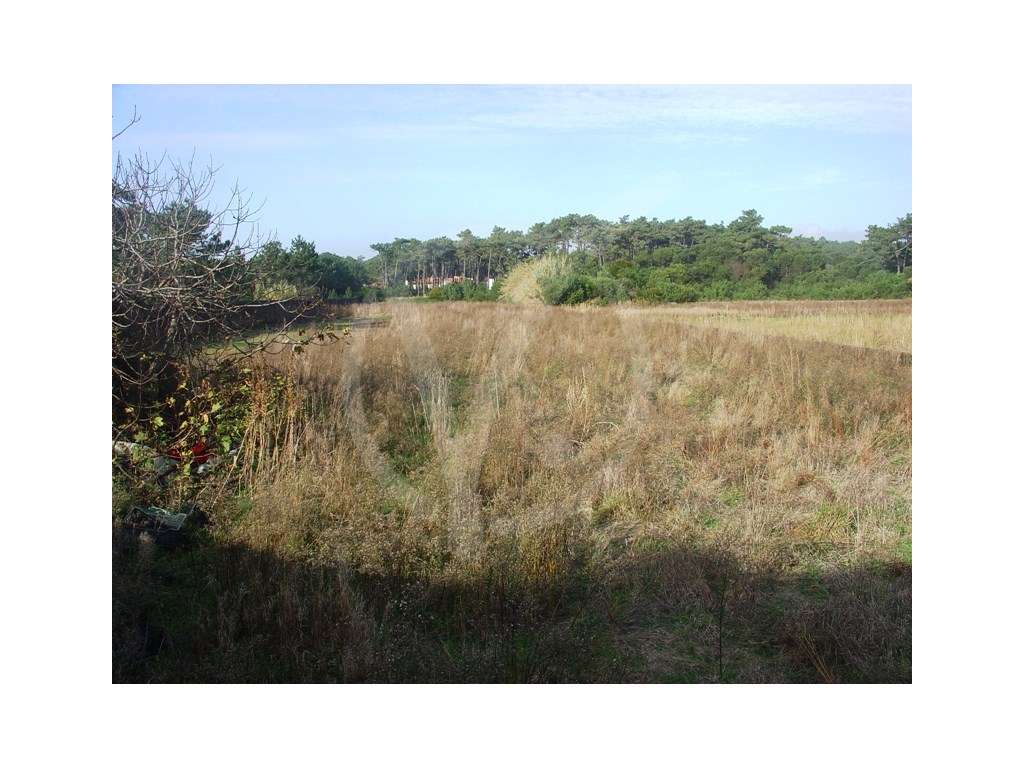 Terreno para construção junto ao mar - Grande imagem: 3/7