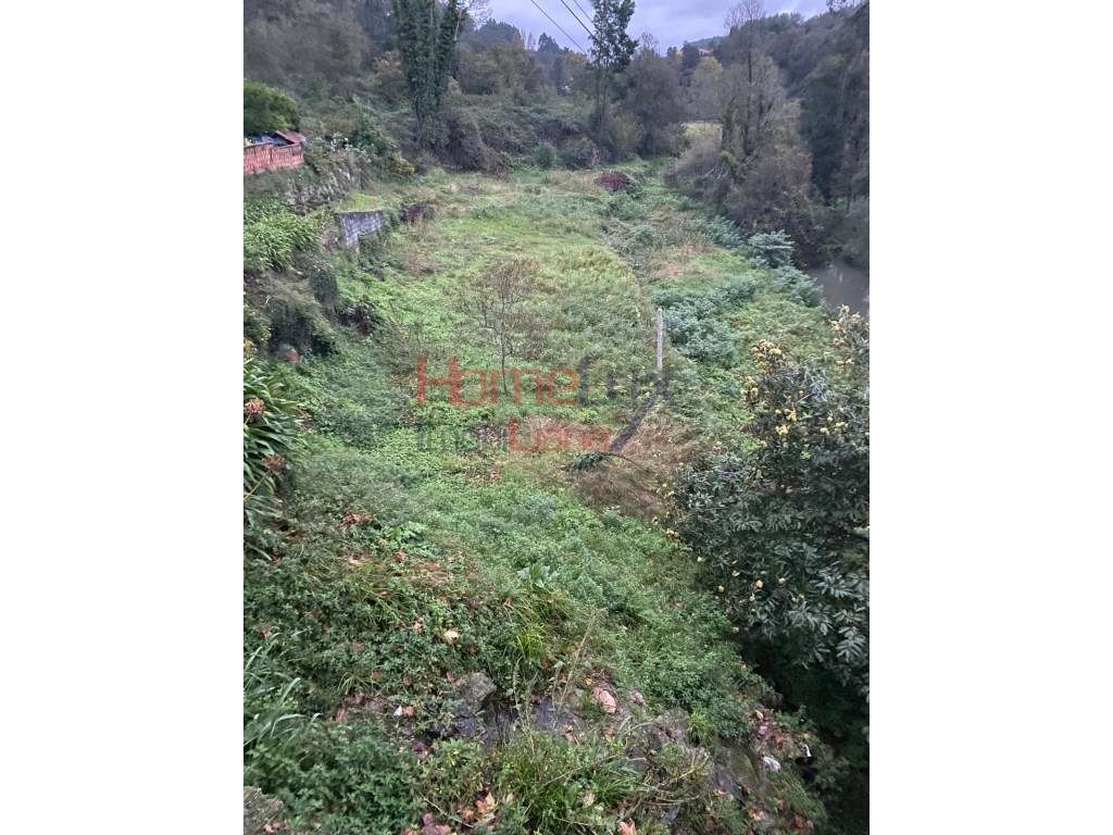 Terreno Rústico - Grande imagem: 5/9