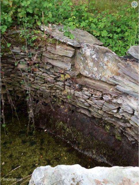 Terreno Rústico em Rodeios - Grande imagem: 2/16