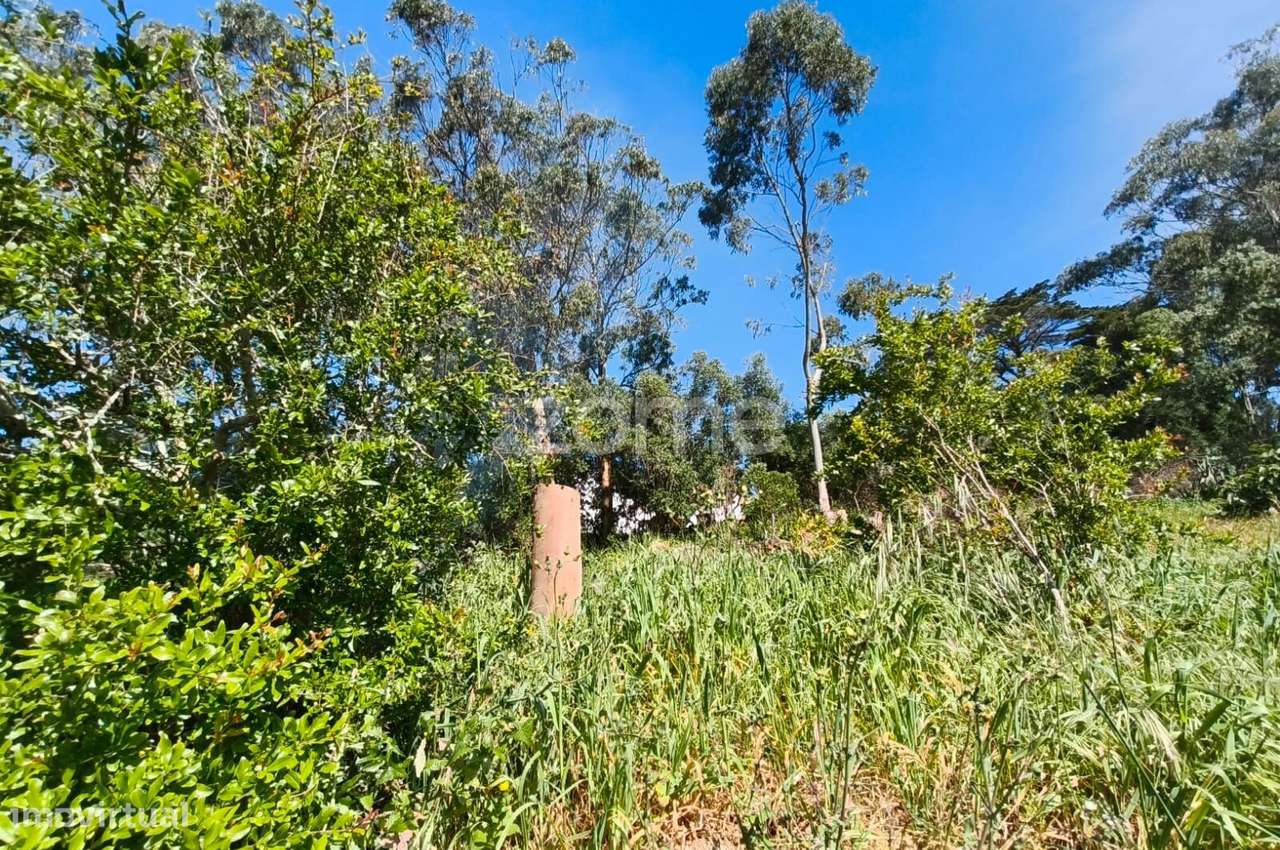 Propriedade única com 1.928 m² | Malveira da Serra-36