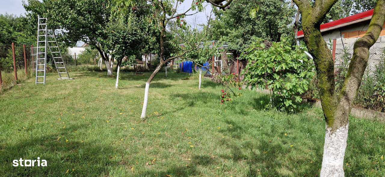 Casa Sannicolau Mic-3