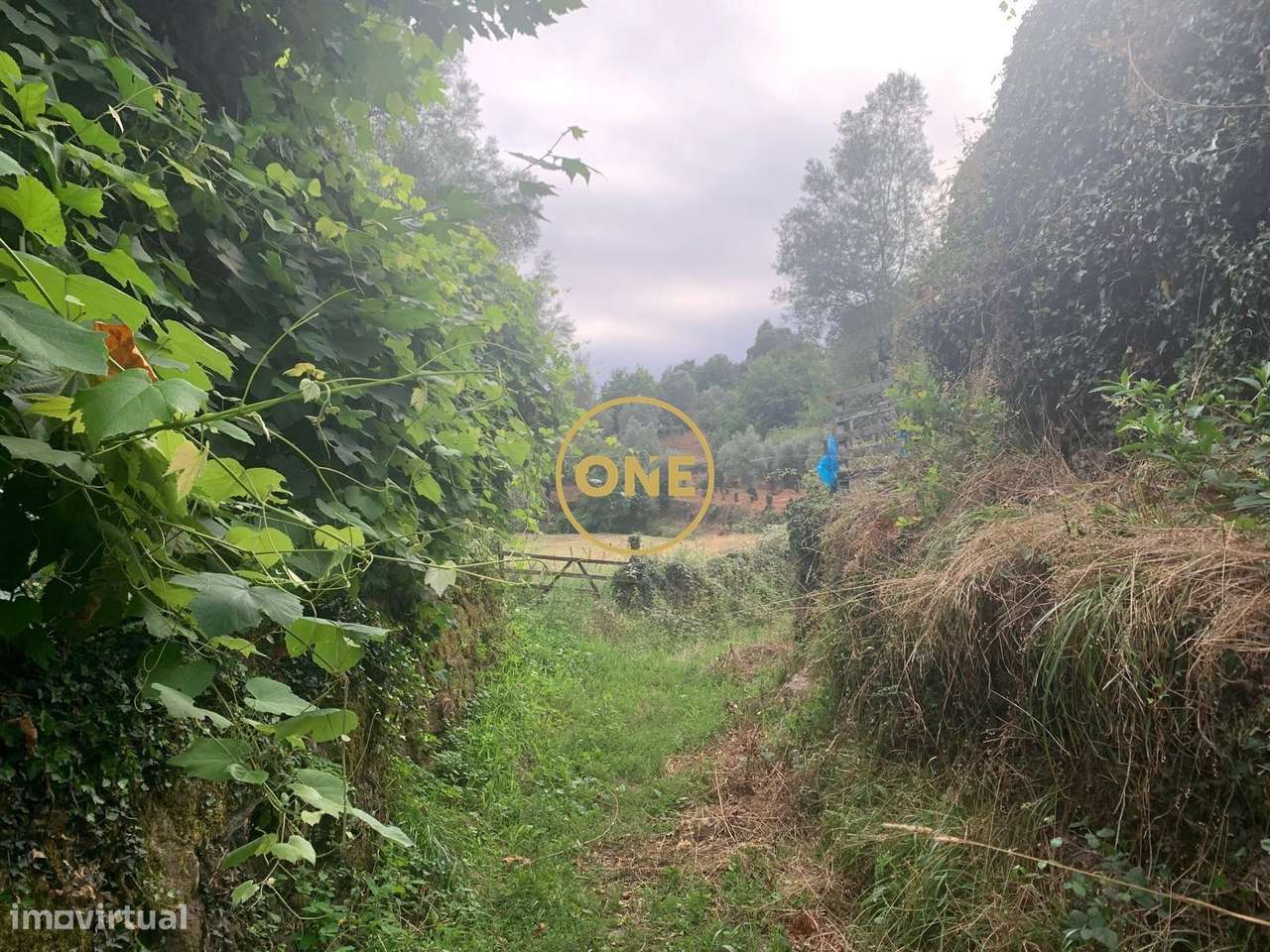 Terreno Rústico em Vieira do Minho - Grande imagem: 2/4
