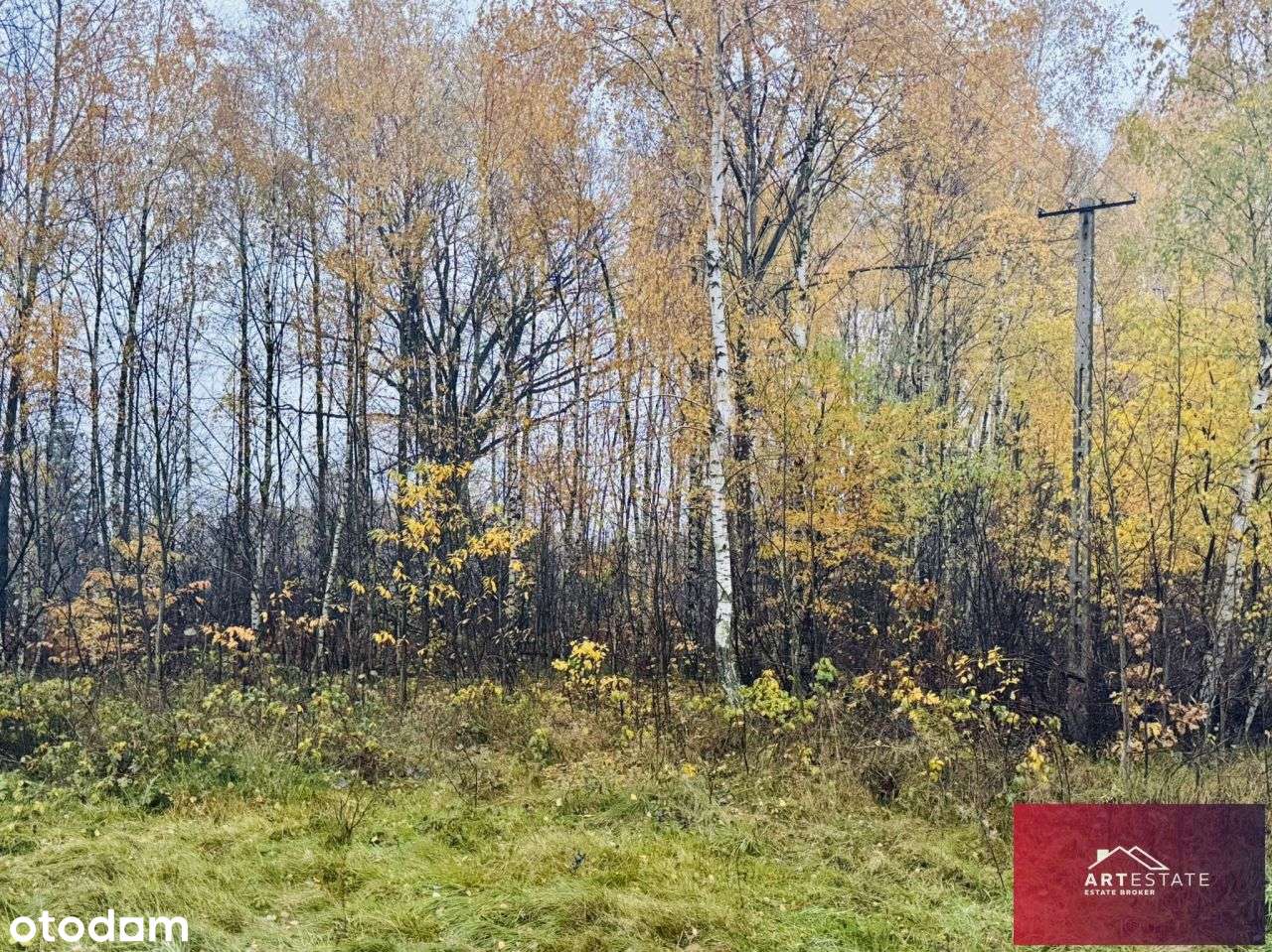 Działka Budowlana Słowak gm. Aleksandrów Ł.-9