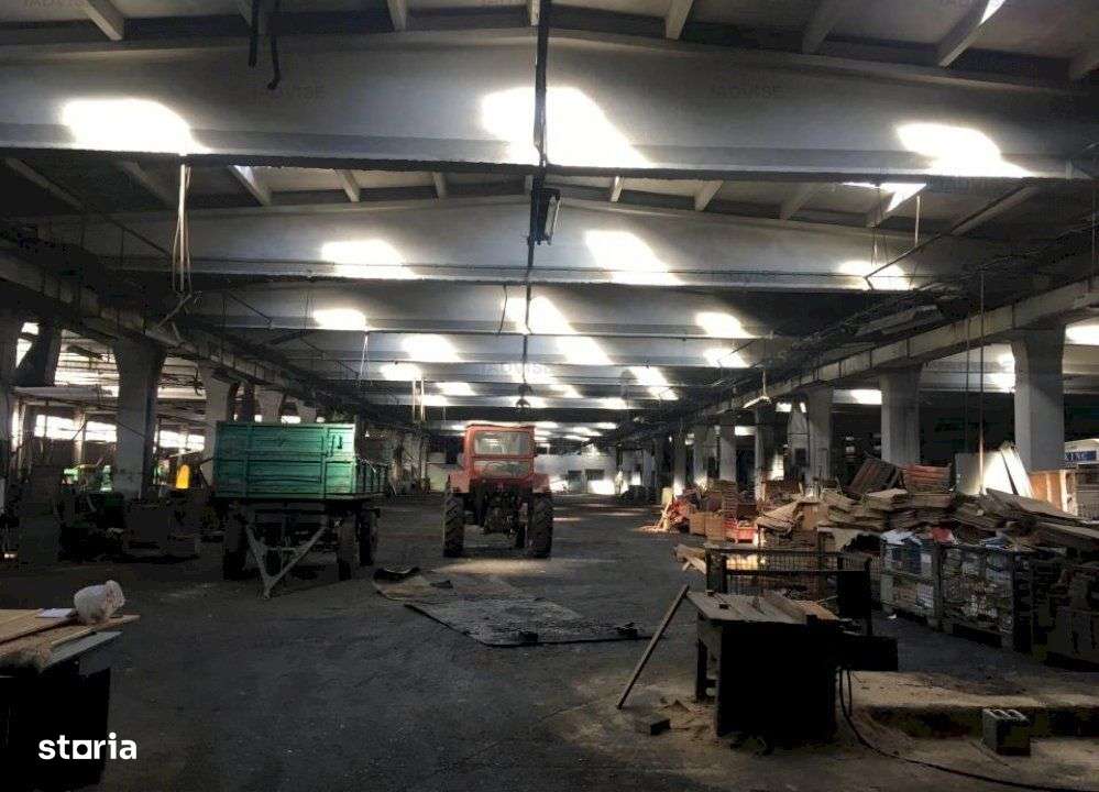SPATIU INDUSTRIAL - CODLEA - Imagine principală: 4/4
