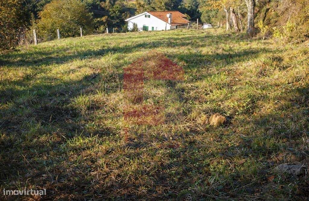 Terreno para construção, Pedregais - Grande imagem: 5/8