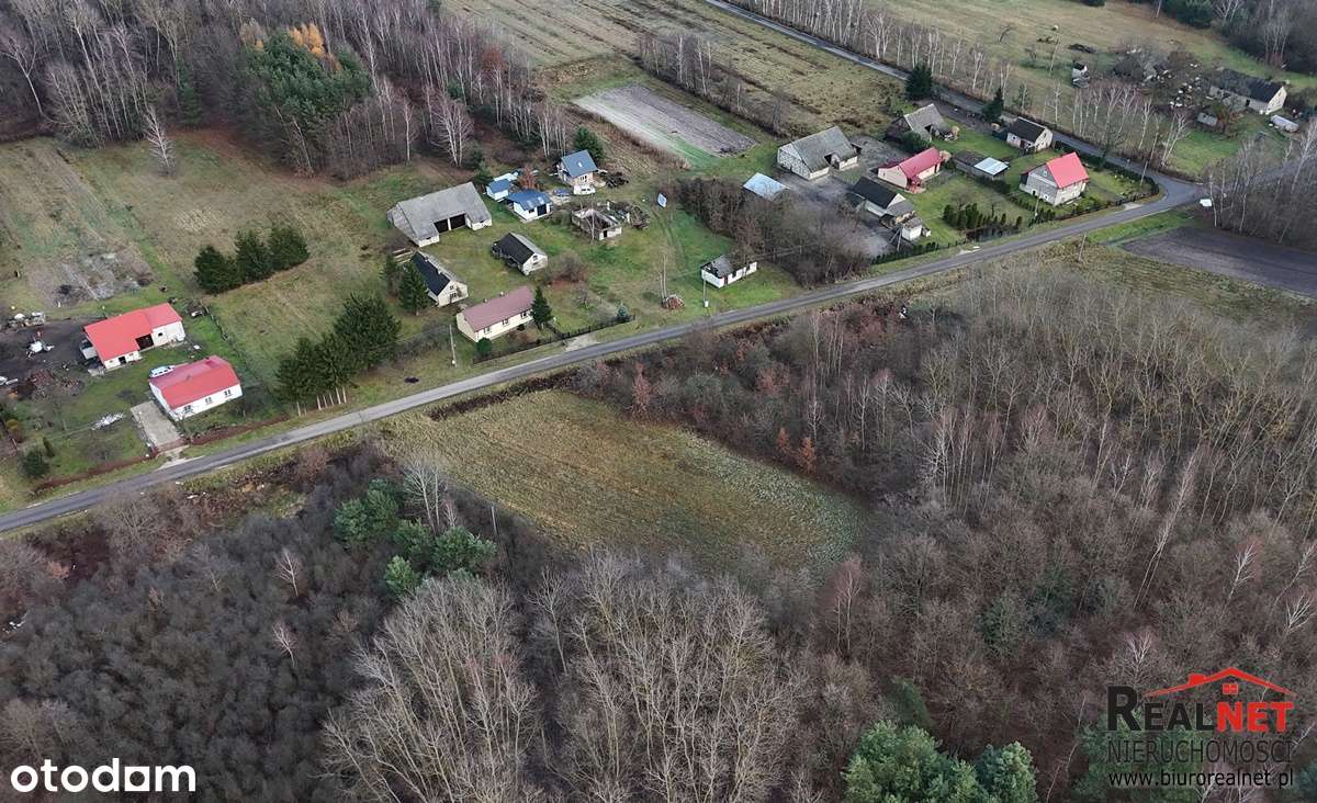 Działka budowlana 1800m2, Rzegocin gm. Nowy Korczyn-0