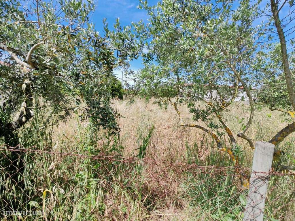 Terreno rústico em excelente localização - Grande imagem: 4/10