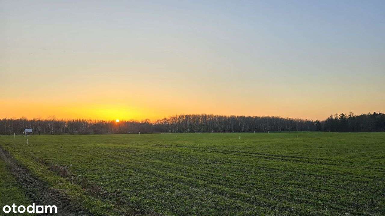 OSTATNIE DZIAŁKI - Strzelinko - komplet uzbrojenia-4