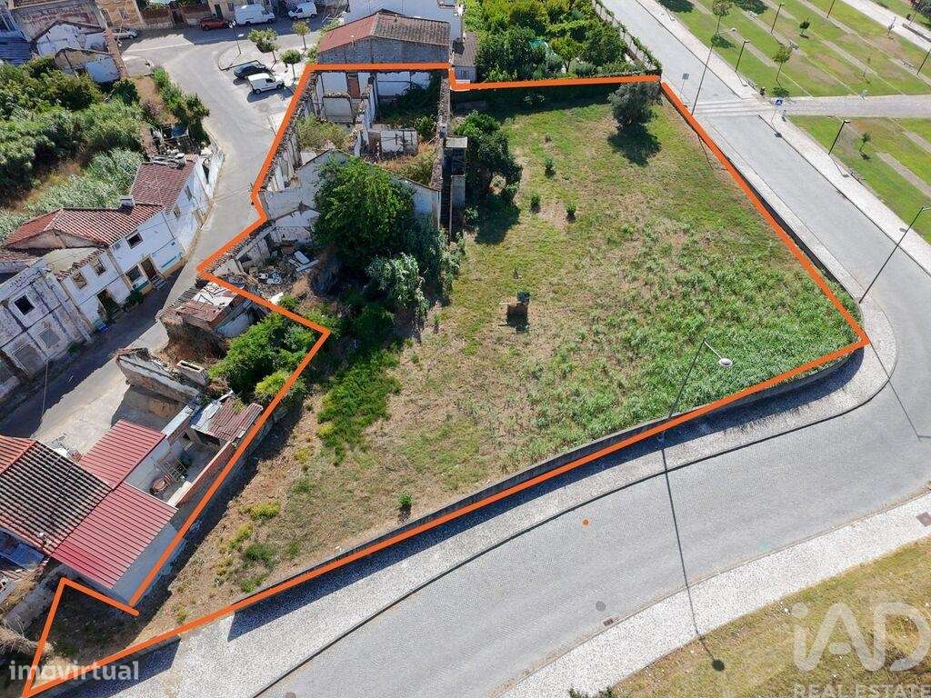 Terreno para construção em São Miguel do Rio Torto e Rossio ao Sul do - Grande imagem: 4/5