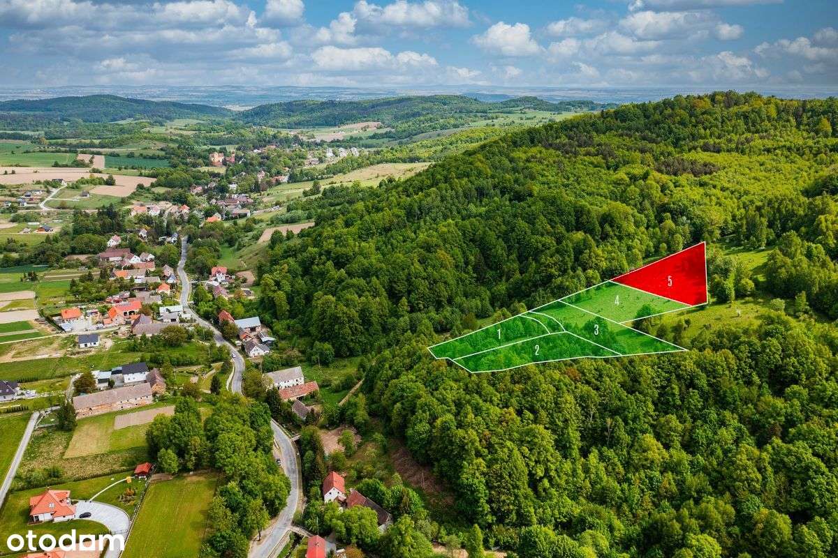 Działki w Laskach, Złoty Stok Cisza, las, relaks. - Pełny obrazek: 5/8