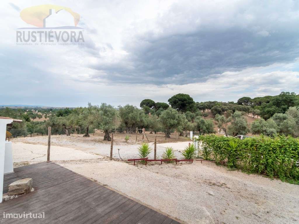 Quinta com 16 ha, com 4 Moradias Unifamiliares, piscina e várias ár...-42