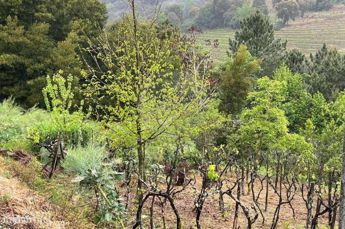 Terreno  para venda - Grande imagem: 3/3