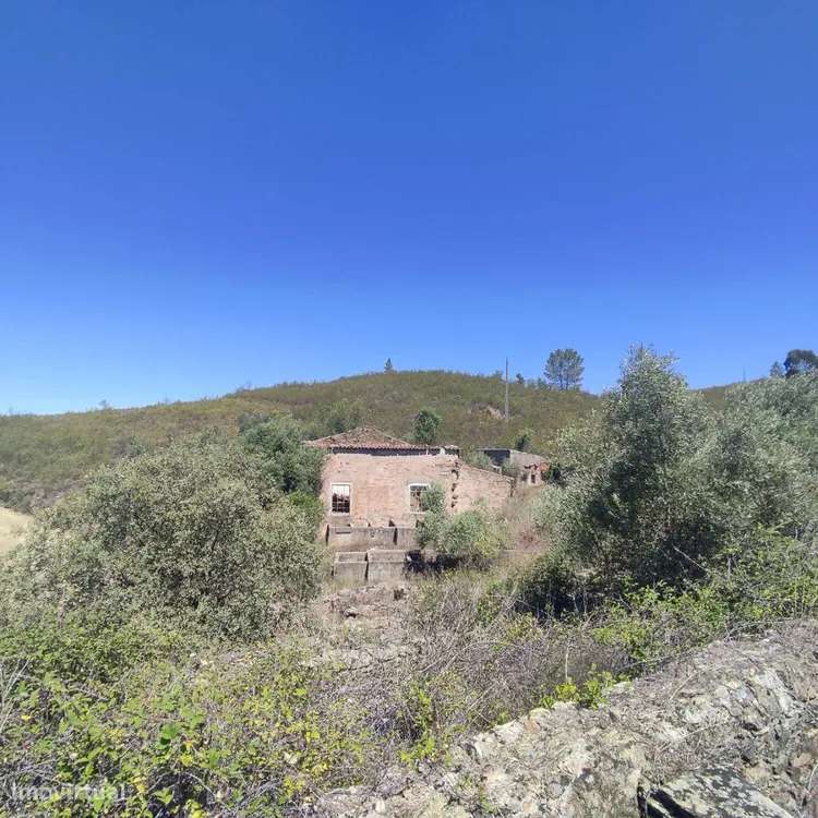 Lagar T1 - Antigo lagar em ruína, para investimento - Grande imagem: 3/20