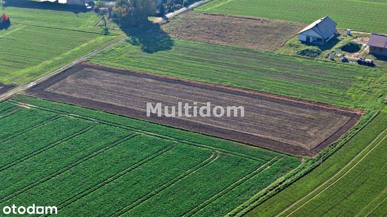 Działka, 845 m², Pisarzowice - Pełny obrazek: 5/9