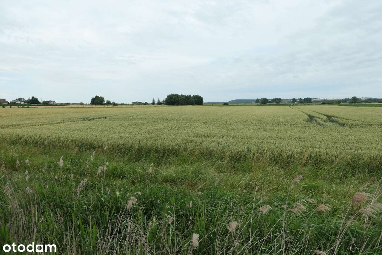 Działka z warunkami zabudowy | Mareza - Pełny obrazek: 2/8