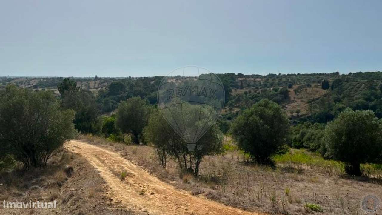 Terreno  para venda - Grande imagem: 5/33