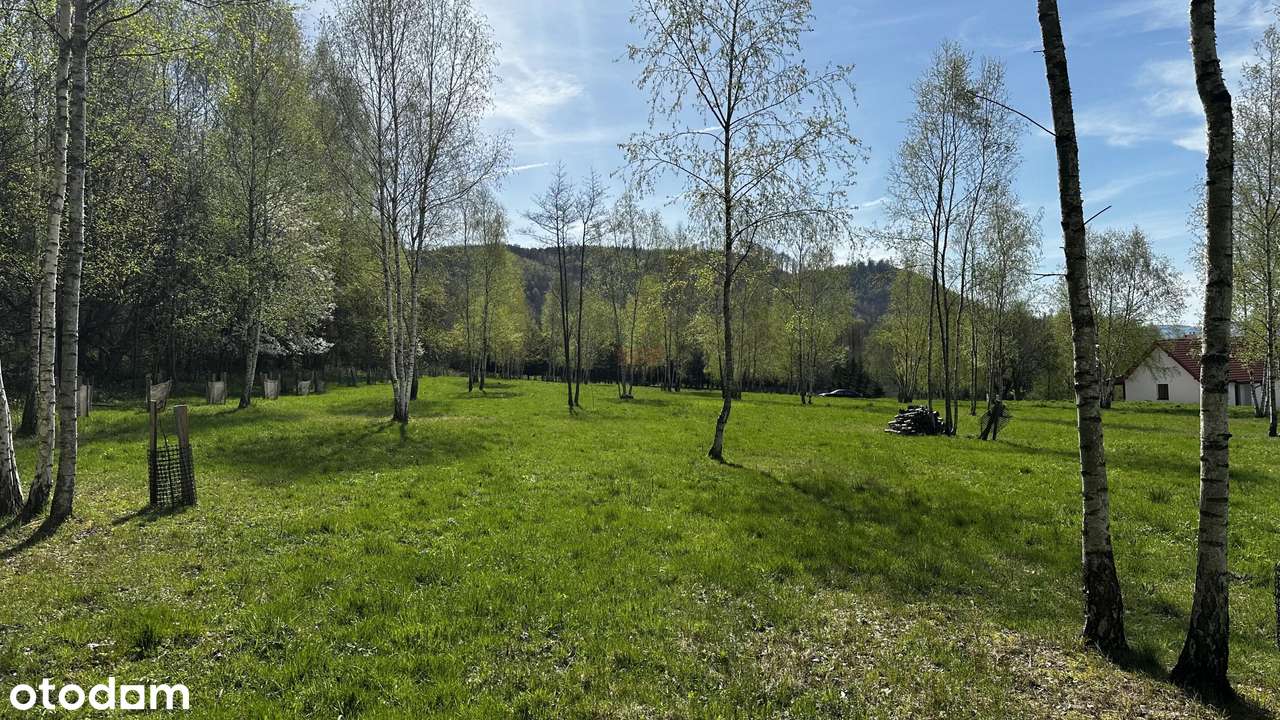 Działka mieszkaniowo-rekreacyjna o powierzchni 3753m2 w Nowej Wsi - Pełny obrazek: 4/6