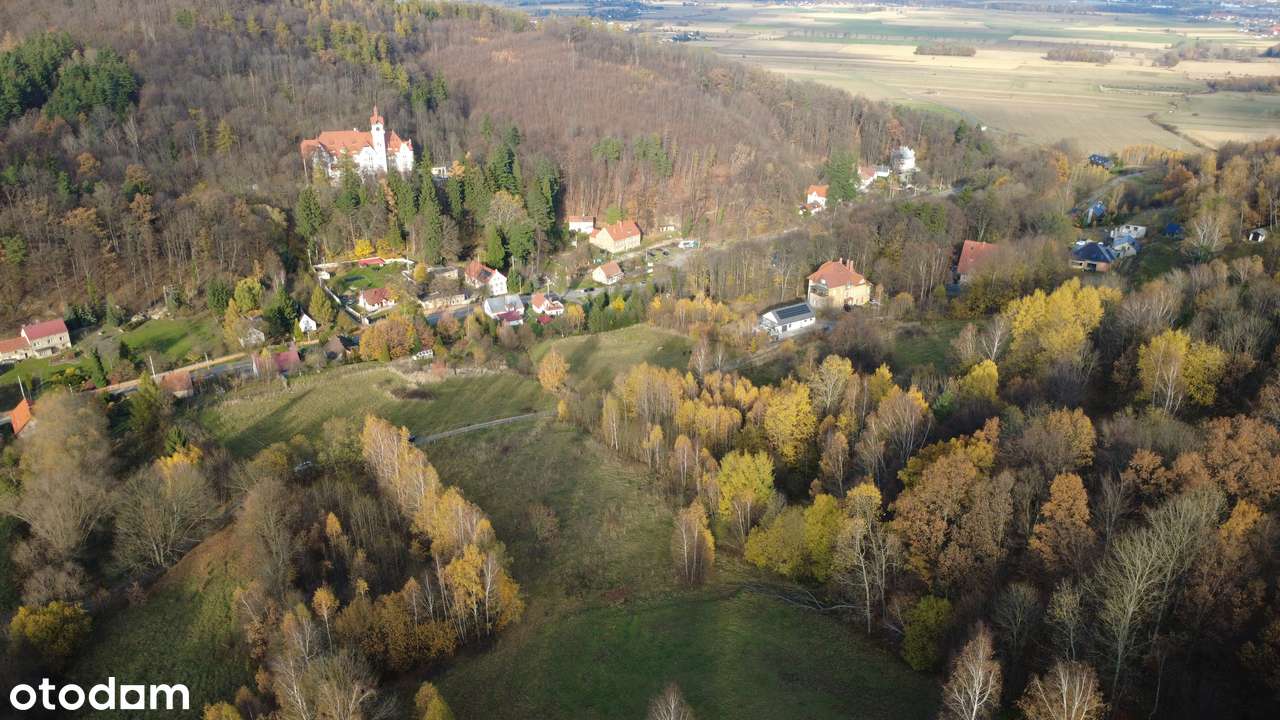 4 Działki przy lesie z widokiem na Góry Sowie - Pełny obrazek: 5/20