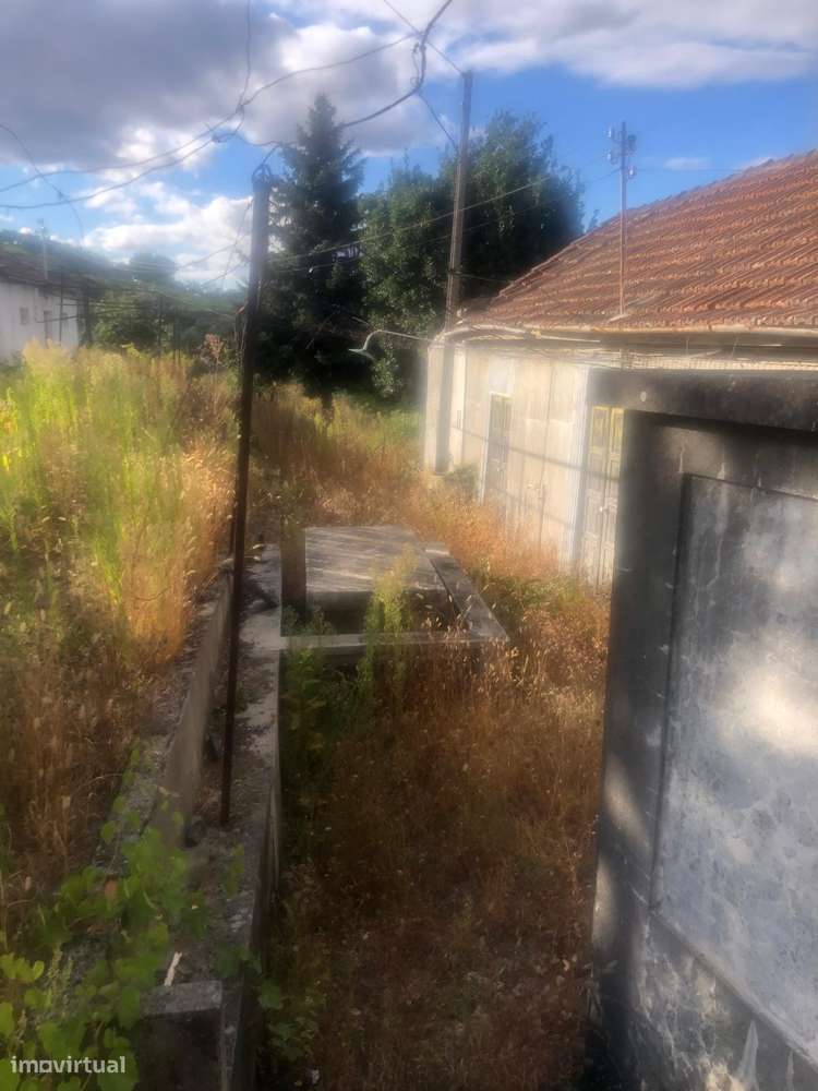 Casa de campo - 6 km do Rio Douro - Régua-4