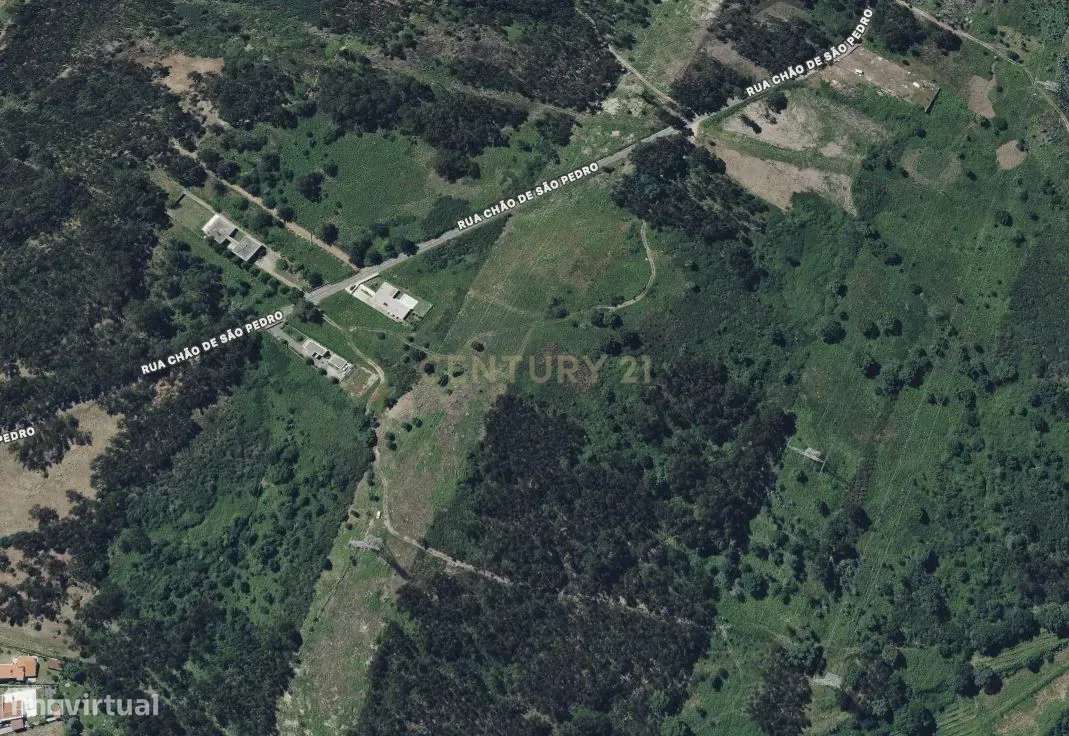 Terreno Rústico em Ferreiros, Póvoa de Lanhoso - Grande imagem: 5/8