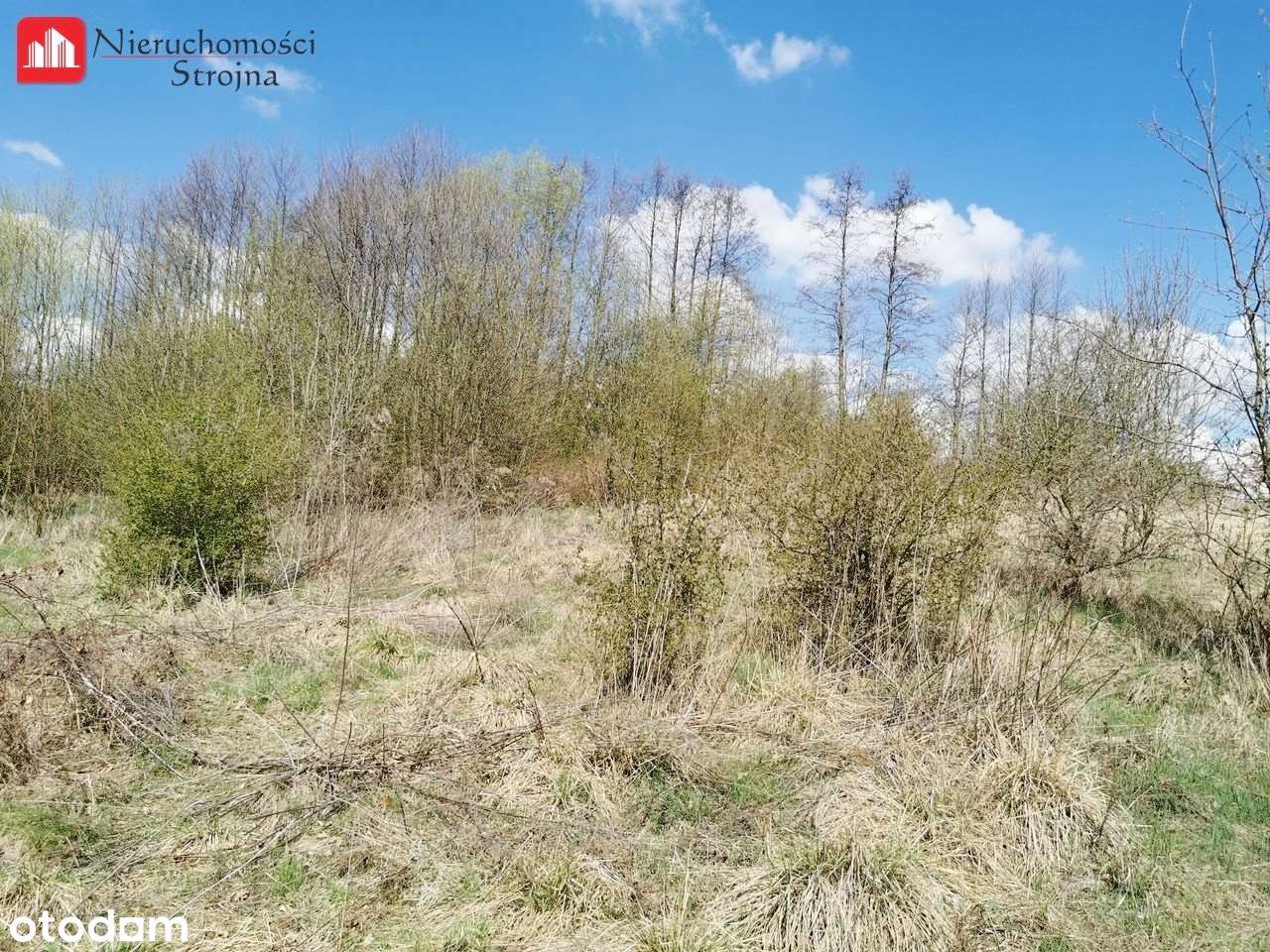 3 Malownicze działki budowlane - Sułów - Pełny obrazek: 4/5