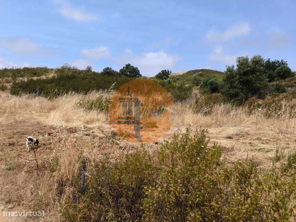 TERRENO COM 41.760 M2 - COM POSSIBILIDADE DE CONSTRUIR APOIO AGRICO... - Grande imagem: 5/21