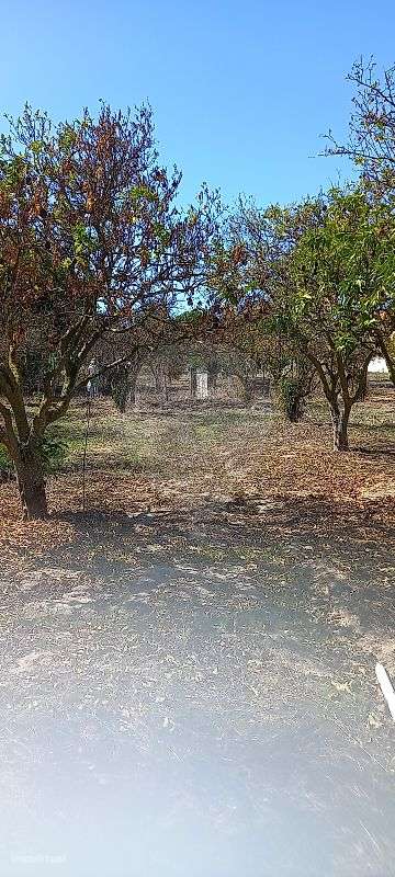 Terreno  para venda - Grande imagem: 3/16