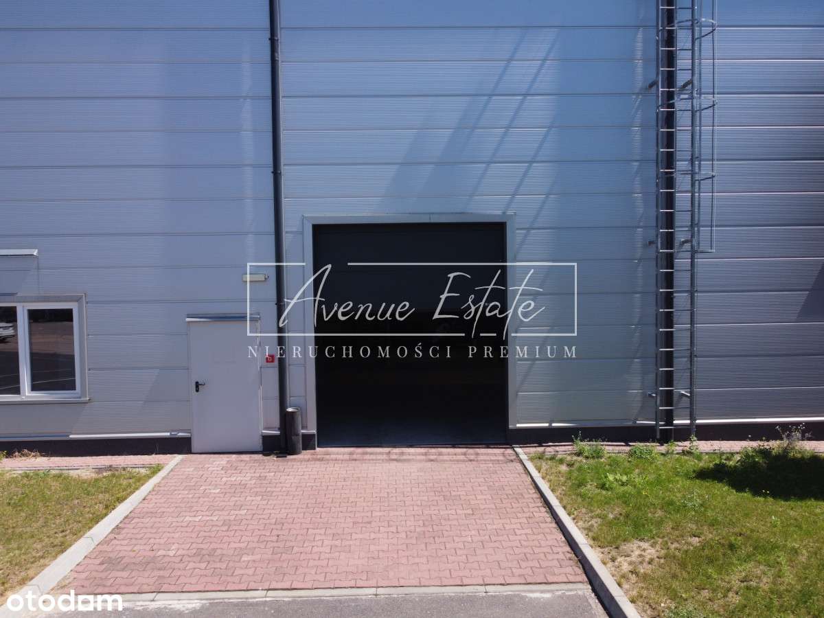 Magazyn z rampą i dokiem / 509 m² / 11 m wysokości - Pełny obrazek: 5/7