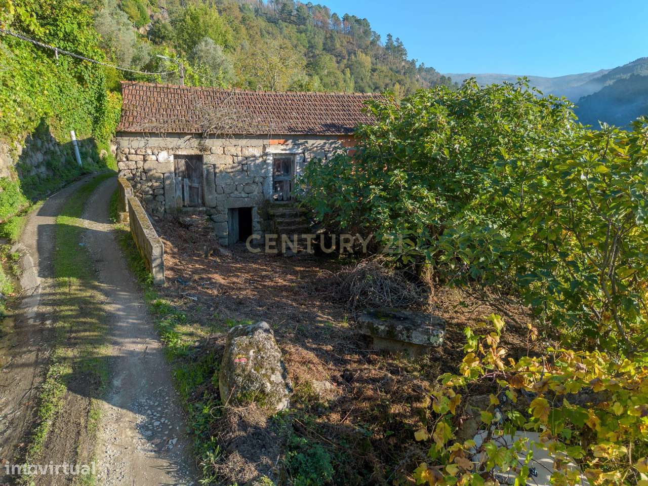 Quinta com 2,8 ha e Casa em Ruína para Recuperar – Covelas, Cinfães (V - Grande imagem: 5/13