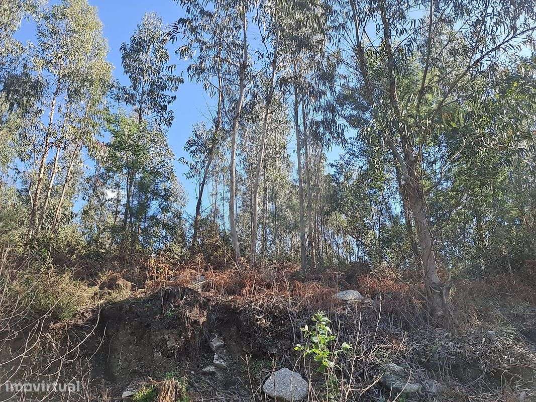 Terreno  para venda - Grande imagem: 5/6