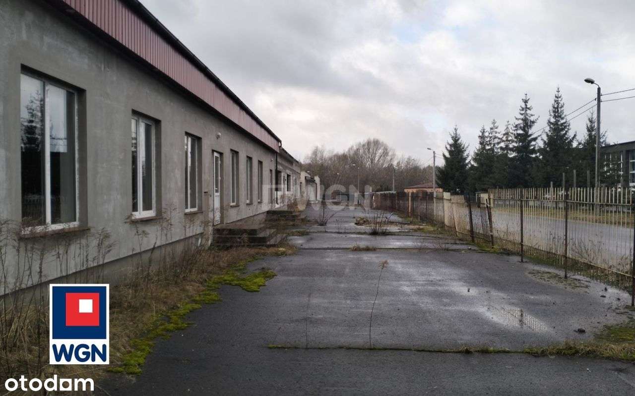 Lokal użytkowy, 250 m², Brodnica - Pełny obrazek: 5/18