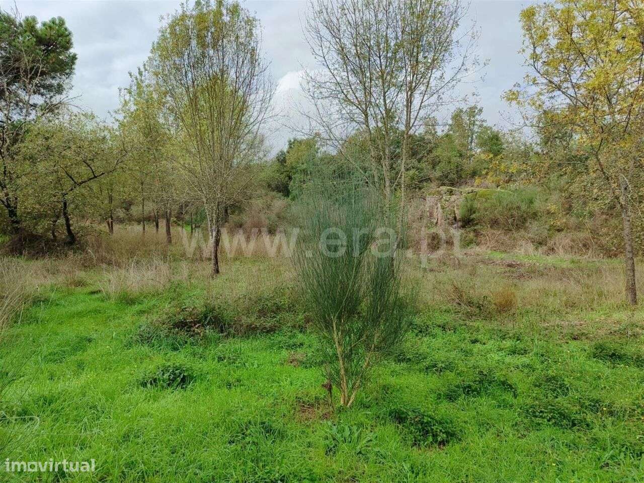 Terreno / Fundão, Póvoa da Atalaia - Grande imagem: 5/14