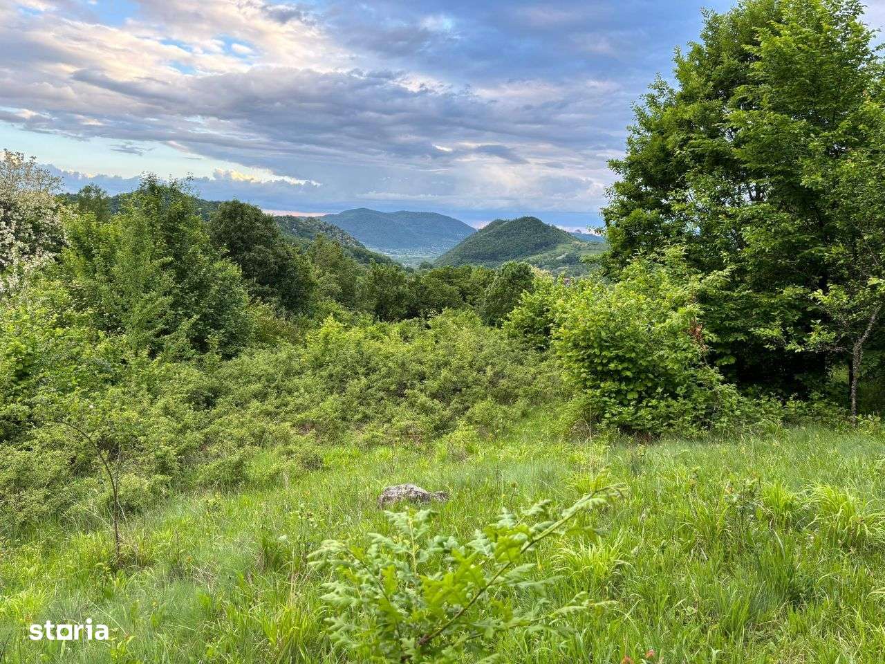 Teren si padure de vanzare in sat Hartagani, comuna Baita - Imagine principală: 4/18
