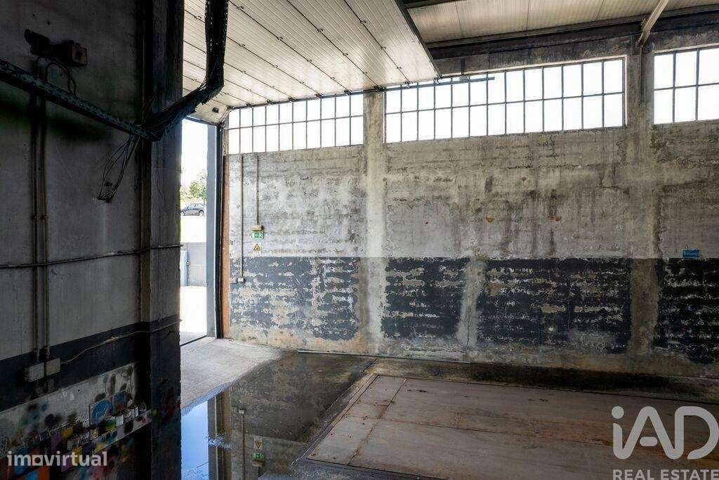 Armazém em Nogueira do Cravo e Pindelo de 1606,00 m2 - Grande imagem: 5/14