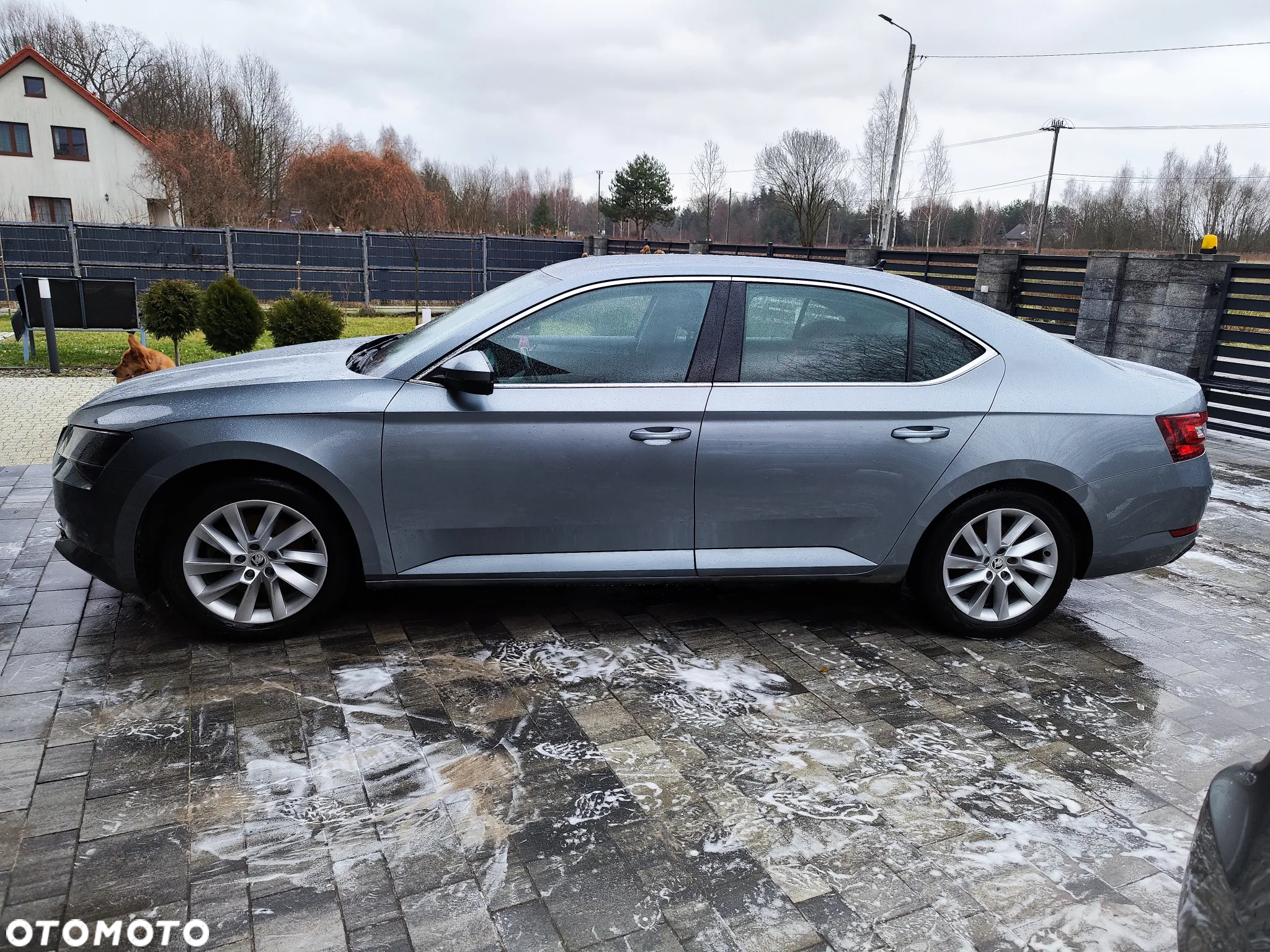 Skoda Superb 2.0 TSI Ambition DSG - 5