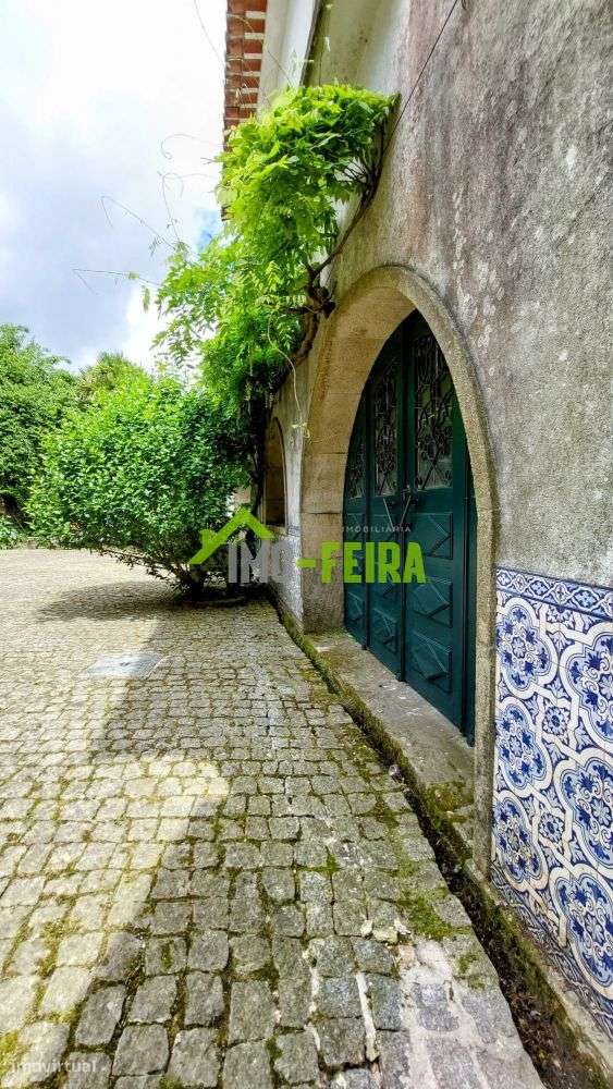 Quinta T6, São João da Madeira - Grande imagem: 4/60