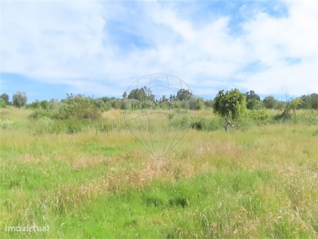 Quinta  para venda-8
