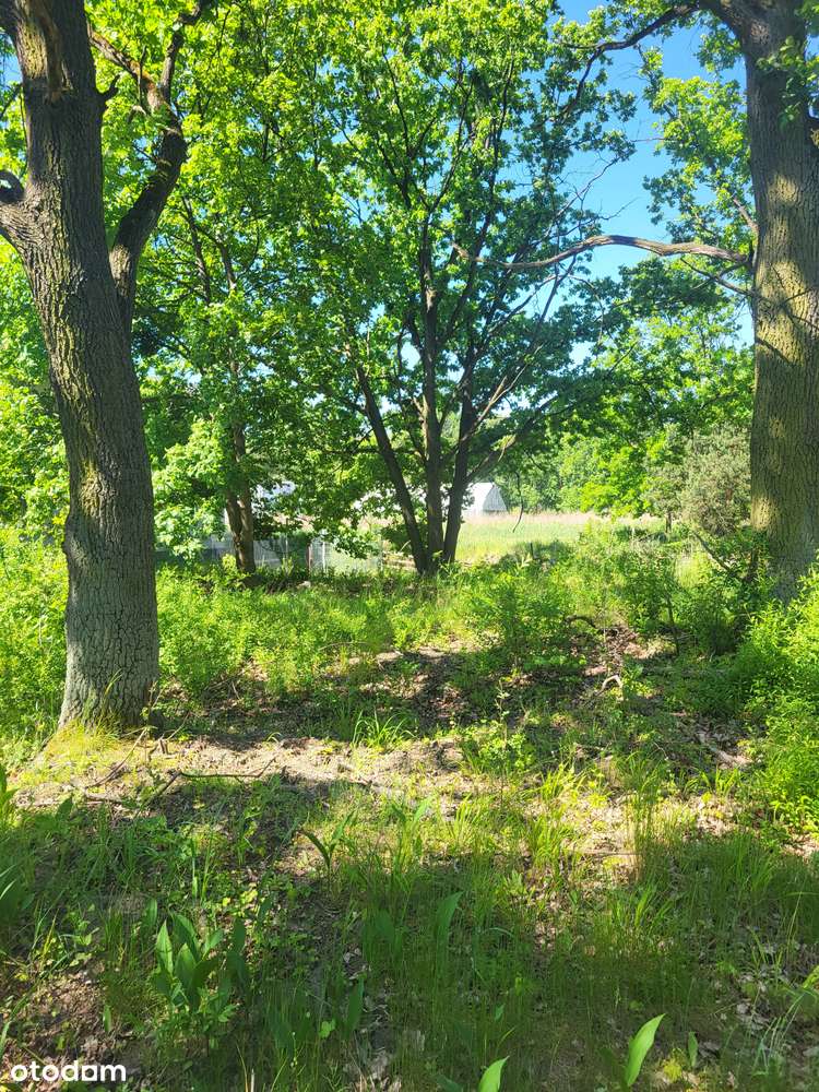 nieruchomość inwestycyjna (produkcja/usługi-4