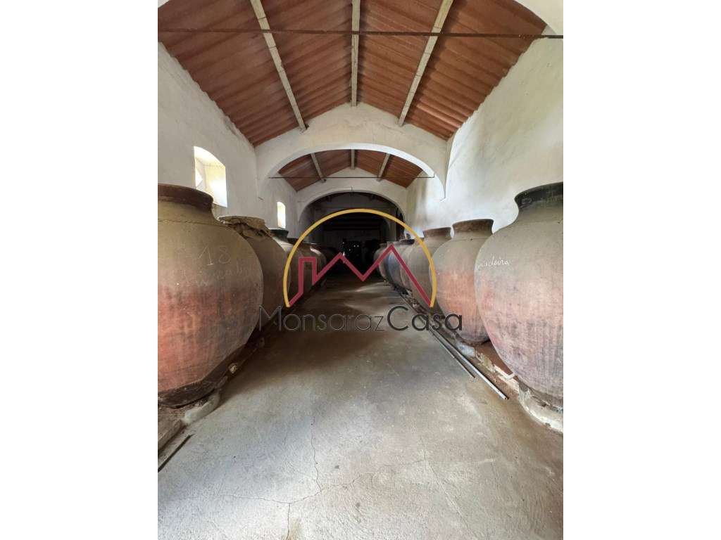 Moradia Senhorial T4 em Reguengos de Monsaraz-19