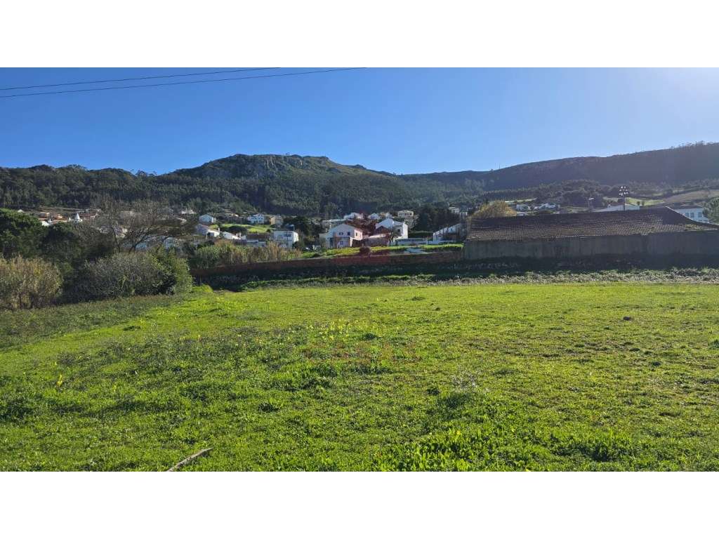 Terreno Exclusivo de 12.000 m² na Serra de Montejunto - Onde a Natu...