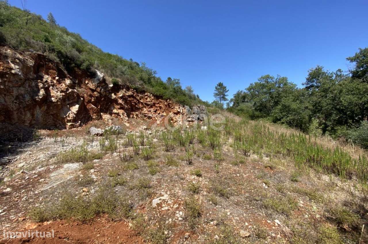 Casa rústica para restauro com terreno - Grande imagem: 2/11