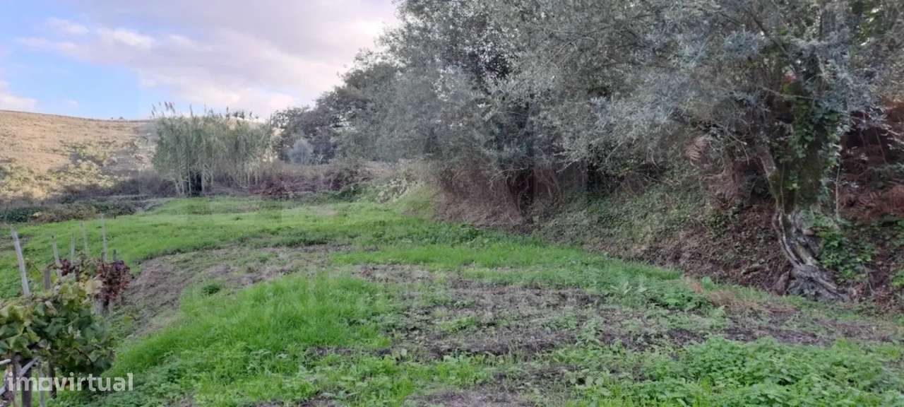 Refúgio perfeito a 15 minutos de Lisboa - Quinta em Loures - Lousa. - Grande imagem: 4/8