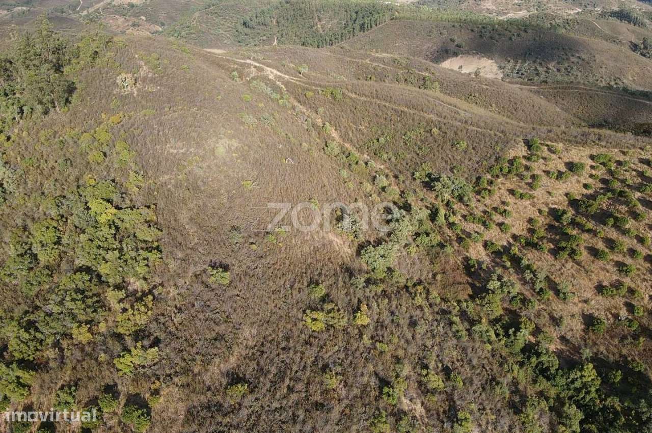 Terreno Rústico em Foz do Ribeiro com 7.920m2, S.B.Messines - Grande imagem: 2/15